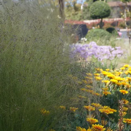 Les Jardins De Santa Giulia - Charmante Dhte 3* Porto Vecchio