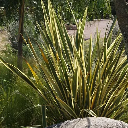 Les Jardins De Santa Giulia - Charmante Dhte 3* ポルトヴェッキオ