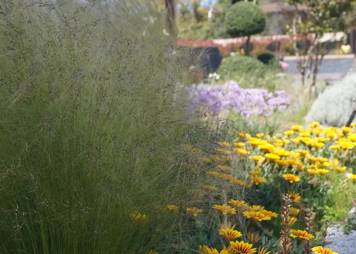 Les Jardins De Santa Giulia - Charmante Dhte 3* Porto Vecchio