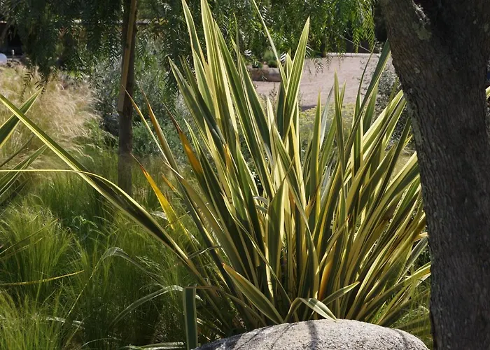 Les Jardins De Santa Giulia - Charmante Dhte 3* ポルトヴェッキオ